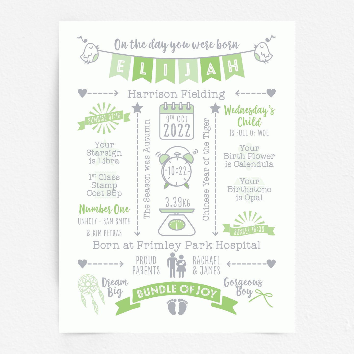 Custom Baby Print - Boy Name Bunting